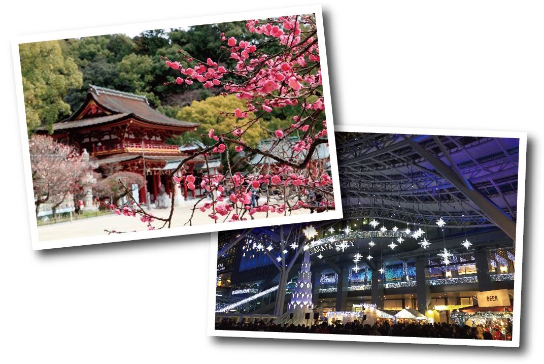 日本口腔科学会　第50回九州地方部会